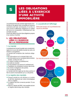 Tout le BTS Professions immobilières - Nouveau programme - 2024-2025 - Examens 2026