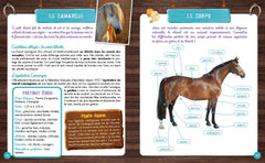 Mon carnet 100% équitation avec Au Galop