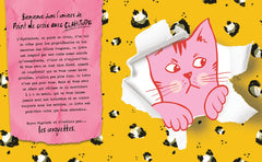 Point de croix avec chattitude