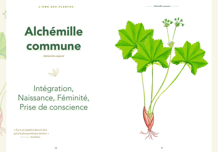 L'âme des plantes