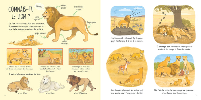 Connais-tu les animaux de la savane ?