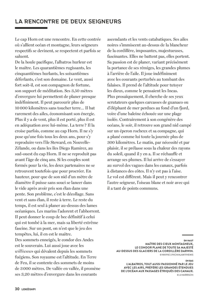 Une histoire du cap Horn