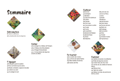 Un potager pas comme les autres