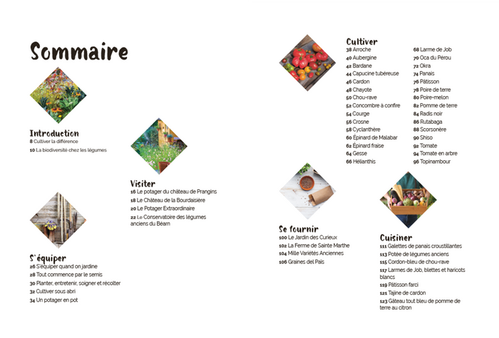 Un potager pas comme les autres