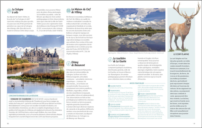 Les plus beaux lieux pour voir la vie sauvage en France