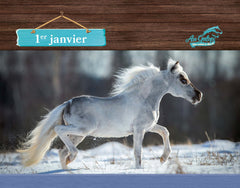 Une année avec Au galop