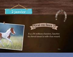 Une année avec Au galop