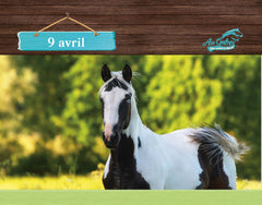 Une année avec Au galop