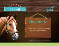 Une année avec Au galop