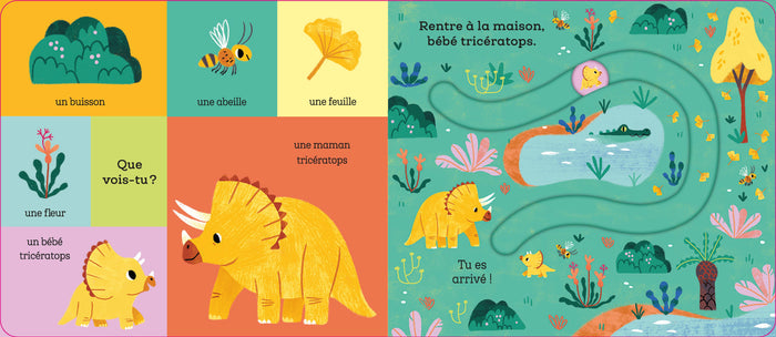 Suis le chemin bébé T-Rex