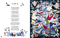 Histoires en musique - Le carnaval des animaux