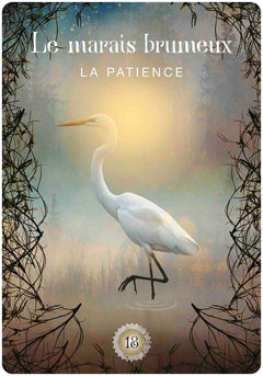 L'oracle de la forêt sacrée