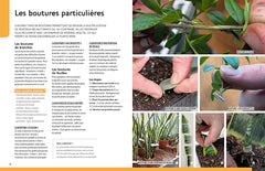 Multiplier toutes les plantes - Semis, bouturage, greffe, marcottage, division