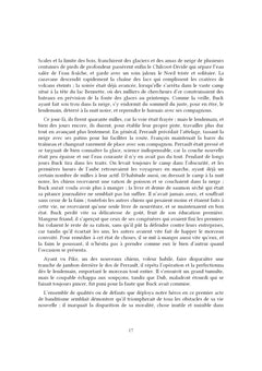 Croc-Blanc et l'Appel de la forêt