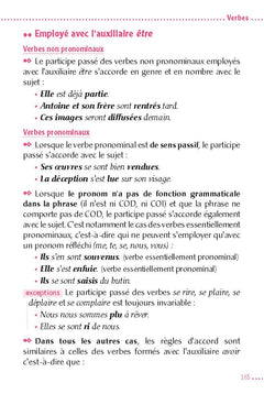 Écrivez sans fautes - 200 règles de grammaire pour ne plus faire de fautes !