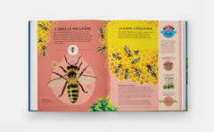 Petits champions de la nature