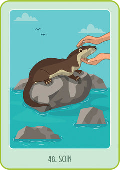 Mon Oracle poche du bien-être animal