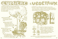 Vivre la forêt - Renouer avec le vivant