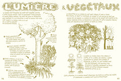 Vivre la forêt - Renouer avec le vivant