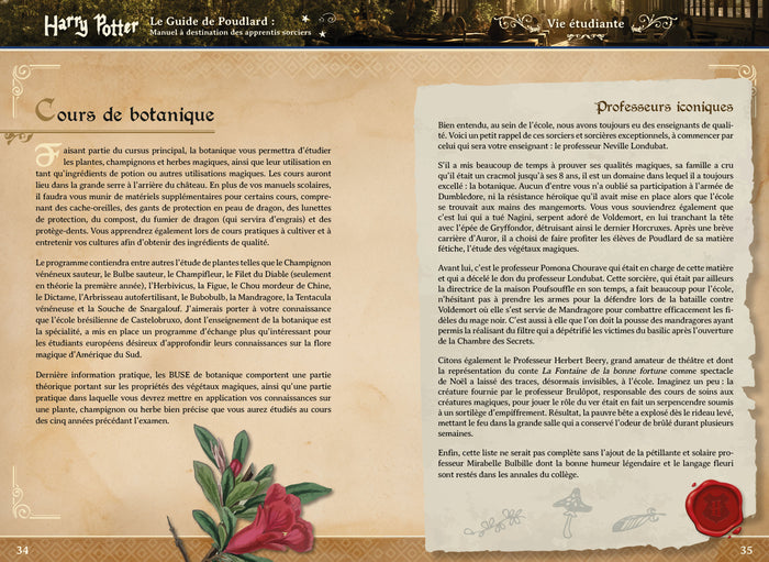 Harry Potter : Le guide de Poudlard - Manuel à destination des apprentis sorciers