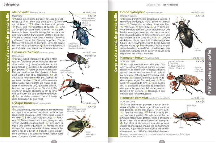 Le guide nature Les petites bêtes