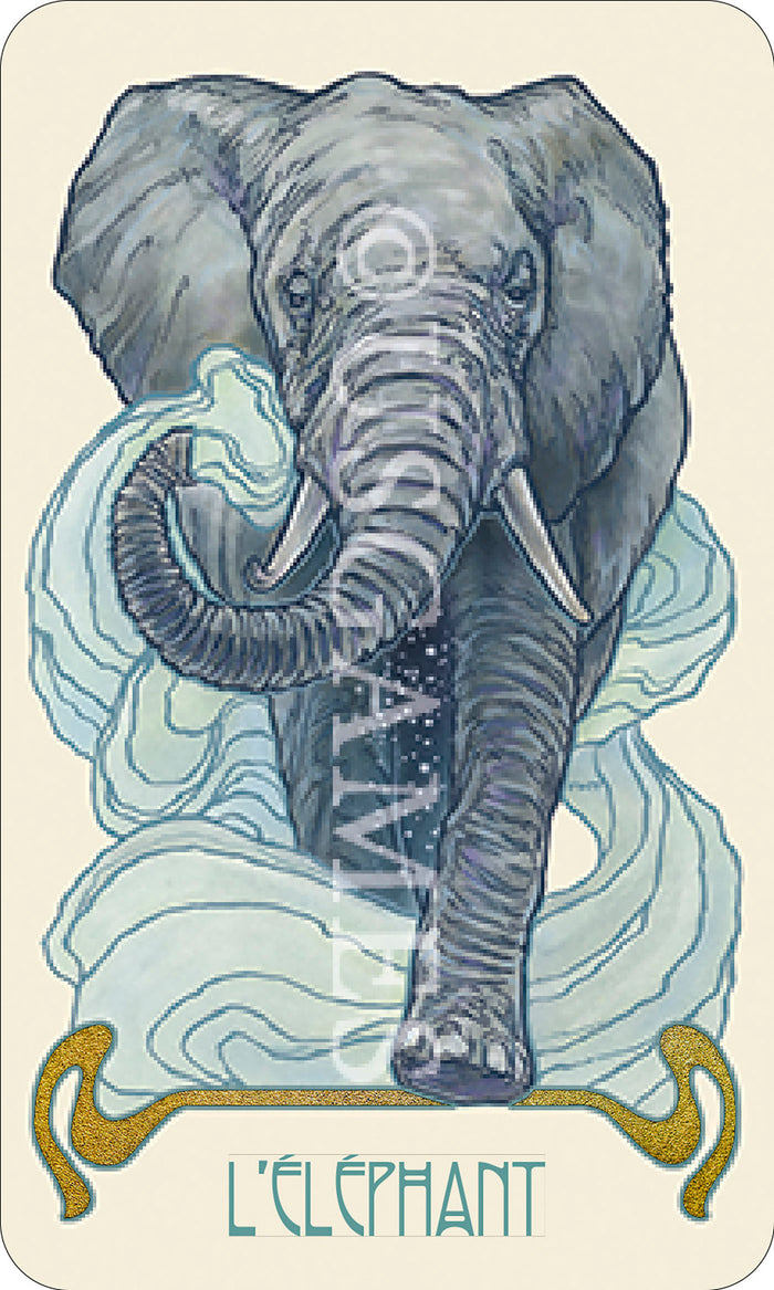 Visions oniriques - Cartes oracle