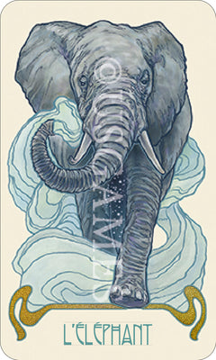 Visions oniriques - Cartes oracle