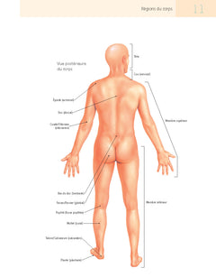 Pilates et anatomie