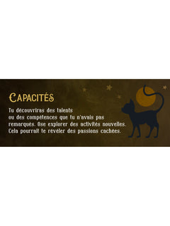 Le petit Oracle du chat noir