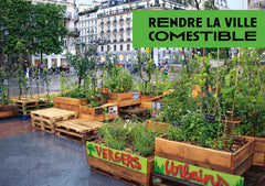 Cultiver la ville - L'agriculture urbaine pour rendre la ville comestible