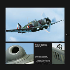 Warbirds - Les avions militaires de collection en vol