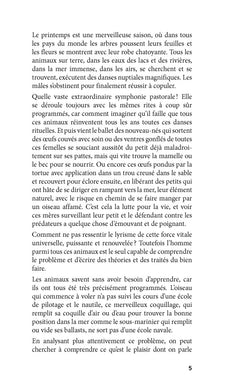 Le constructeur