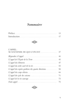 Le Manuel du chaman - Rituels et pratiques au quotidien