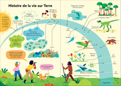 L'écologie pour les débutants