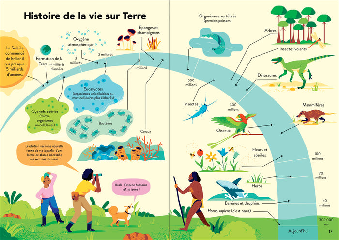 L'écologie pour les débutants