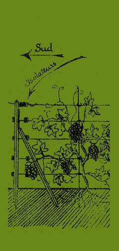 Electrocultures et énergies libres