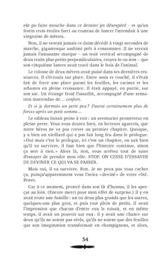 Le Premier Fou