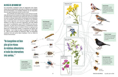 Jardiner - Les sciences cachées au jardin