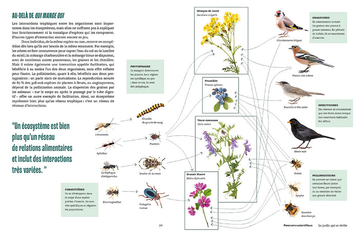 Jardiner - Les sciences cachées au jardin