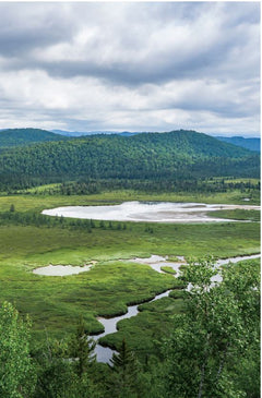 Les longues randonnées du Québec - 25 parcours de 2 jours et plus pour sévader en toutes saisons