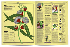 Nez - N° 21 La revue olfactive - Printemps/été 2026