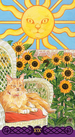 Coffret le tarot des chats païens