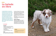 Rendre son chiot heureux