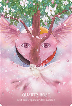 L'Oracle des cristaux chamaniques