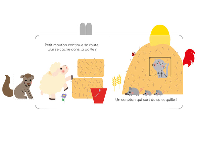 Coucou-caché petit mouton