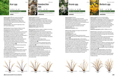 La taille raisonnée des arbustes