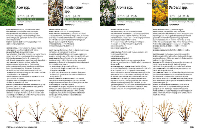 La taille raisonnée des arbustes