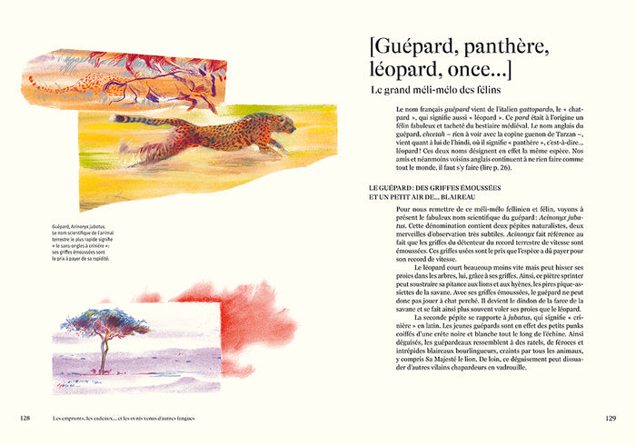 Nomen - L'origine des noms des espèces