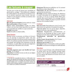 Des salades toute l'année dans mon jardin