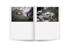 Album 82- 100 photos de Vincent Munier pour la liberté de la presse - 82